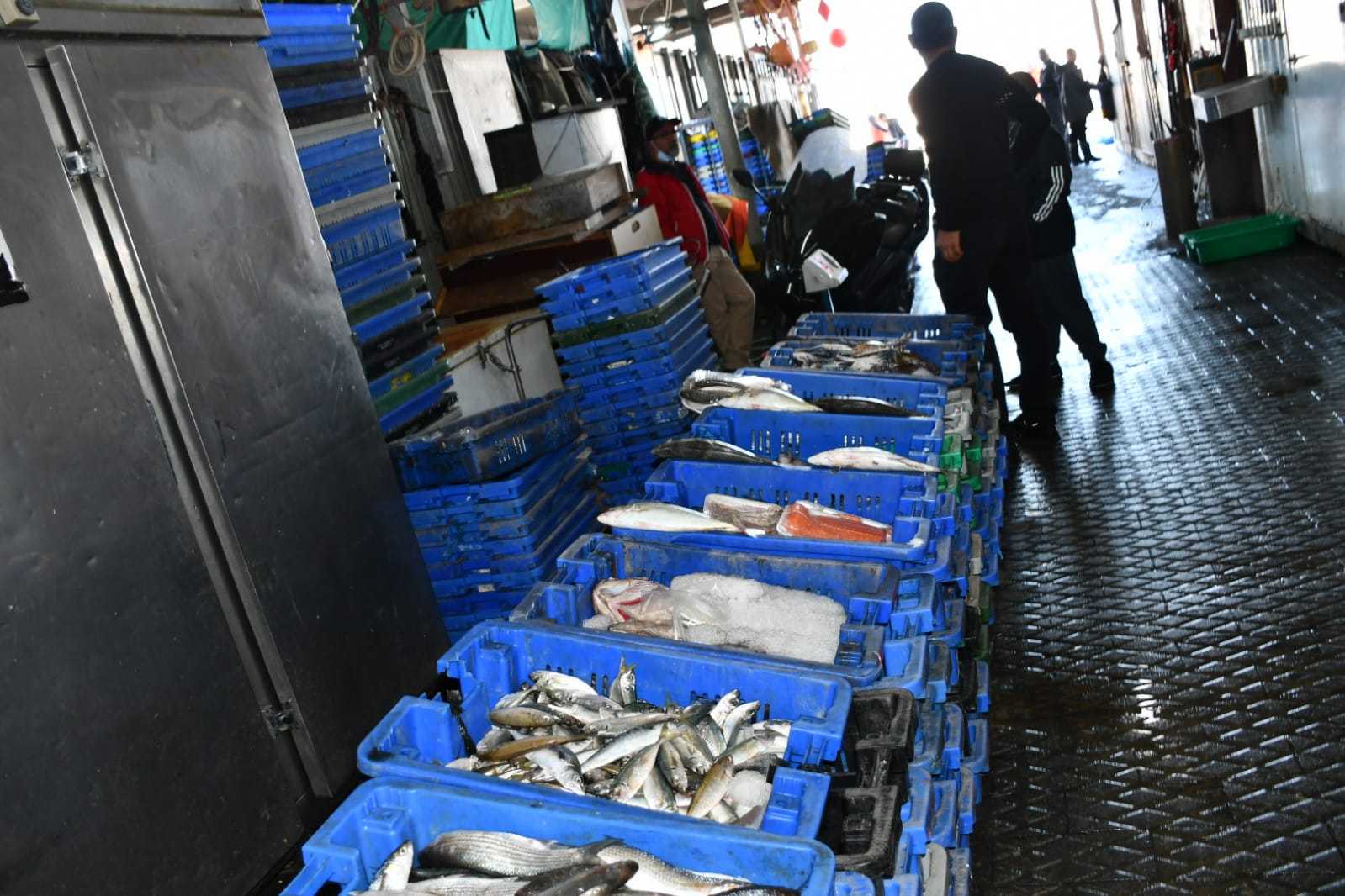 WhatsApp Image 2020-11-23 at 8.41.18 AM.jpeg.jpeg